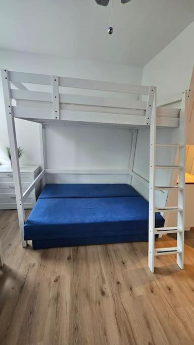 Appartement Direkt Am Fluss Кобург Екстер'єр фото